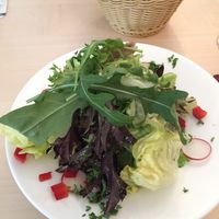 Mixed salad at Gasthaus zum Sternen in Efringen-kirchen