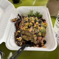   at Mojos Tacos in St Augustine