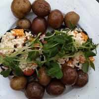 Portobello entrée at The Courtyard Bistro in Pembroke