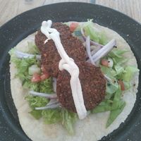 Falafels at Capuchino Cafe in La Paz