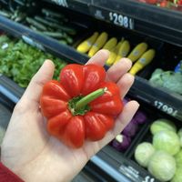 Red bell pepper   at Gibson's Fresh Grocer in Ruston