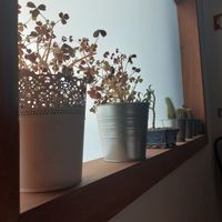  at Greenstore4u  in Vila Verde