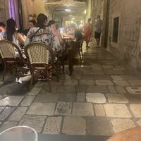 The little house dog preferred the neighbouring restaurant it seems!  at Nishta in Dubrovnik