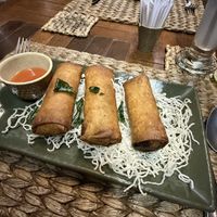 Vegan spring rolls - freshly madee  at New Leaf Eatery in Siem Reap