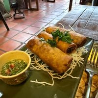 Spring rolls  at New Leaf Eatery in Siem Reap