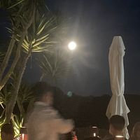   at Can Domingo in Ibiza