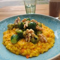 Risotto at Brocca Cafe in Berlin