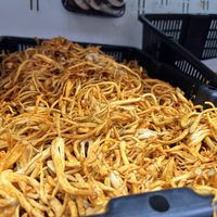   at Berkeley Bowl - West in Berkeley