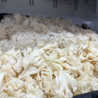   at Berkeley Bowl - West in Berkeley