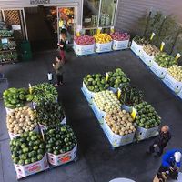 view from entrance at Berkeley Bowl - West in Berkeley