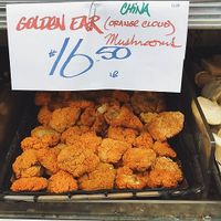 Large mushroom selection at Berkeley Bowl - West in Berkeley