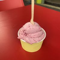 Davidson Plum   at Wicked Ice Cream in Port Douglas