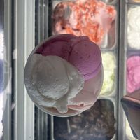 guava and dragonfruit and pear🍐  at Wicked Ice Cream in Port Douglas