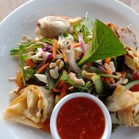 Vegan wontons at The Blacksmith Eatery and Bar in Auckland
