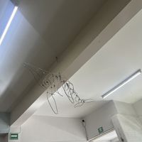  #Veganuary at Nomada Organics & Gourmet in La Paz