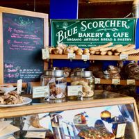 Warm and welcoming at Blue Scorcher Bakery Cafe in Astoria