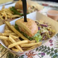   at Seed Ranger in Ventura