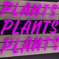 Plants at PLANTA Burger in Toronto