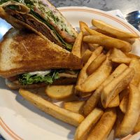 Turtle sandwich (turkey, bacon, tomato, avocado, lettuce, sprouts, aoli) with fries at Wicked Willow in Stevens Point