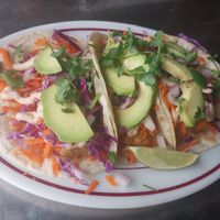 fish-less tacos at Wicked Willow in Stevens Point