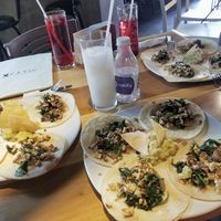 tofu pastor tacos, horchata  at Xcatic in Merida