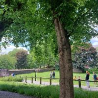 View of the park from our table at Edna's Kitchen in Bristol