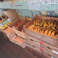 Fruits  at Medel Deli  in Tokyo
