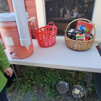 Game ams water table at Golden Harvest Herban Farm and Bakery in Port Orford