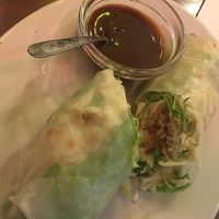 Rouleau de printemps  at Bodhi Vegan in Paris