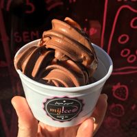 V E G A N 🍦🌱🙌 at Myiced Baixa in Lisbon