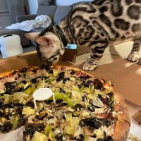 Veggie pizza  at CyBelle's Front Room in San Francisco