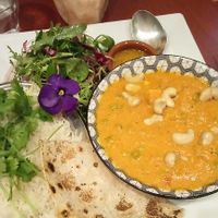 Dish of the day (Tikka Masala) at Golden Temple in Amsterdam