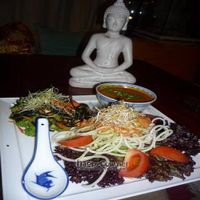 Raw Food Meal at Golden Temple in Amsterdam