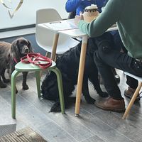   at Square Roots in Whitley Bay