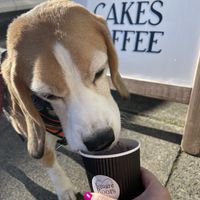   at Square Roots in Whitley Bay