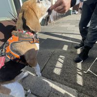   at Square Roots in Whitley Bay