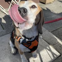   at Square Roots in Whitley Bay