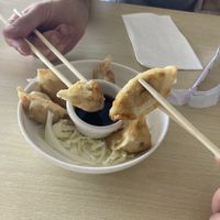 Veggie potstickers  at Veggie House in Salt Lake City