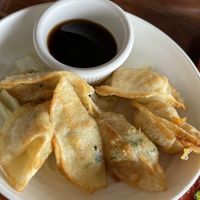 Potstickers   at Veggie House in Salt Lake City