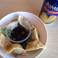 Potstickers at Veggie House in Salt Lake City