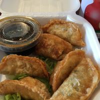 Deep Fried Potstickers Take Away at Veggie House in Salt Lake City