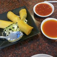Spring rolls at Veggie House in Salt Lake City