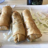 Egg rolls  at Veggie House in Salt Lake City