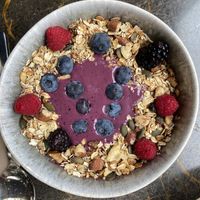 Strelitzia at Terrarea in Matosinhos