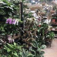 Loja at Terrarea in Matosinhos