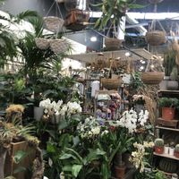 Loja at Terrarea in Matosinhos