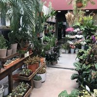 Loja at Terrarea in Matosinhos