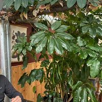 Lovely plants at Terrarea in Matosinhos