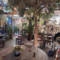 Inside at Terrarea in Matosinhos