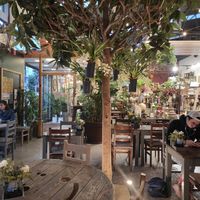 Inside at Terrarea in Matosinhos